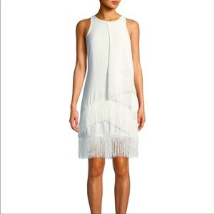 Brand new never worn Joie Amiyah fringe dress.